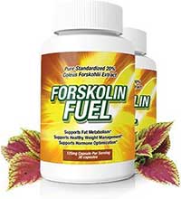 Forskolin-Fuel pilules maigrir